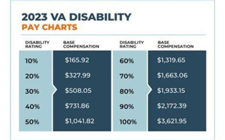 What is the average disability payment per month?