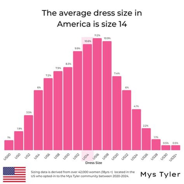 What is the average dress size in America?