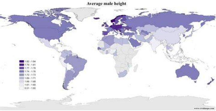 What is the average height in the world?