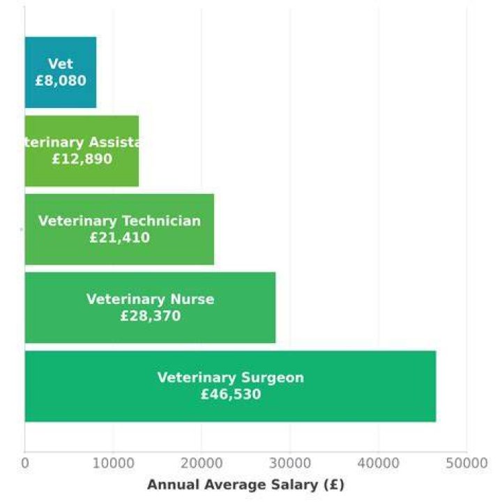 What is the average salary for a vet in UK?