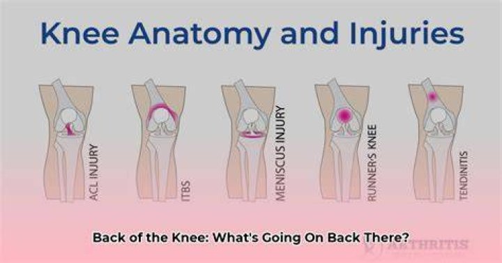 What is the back of your knee called?