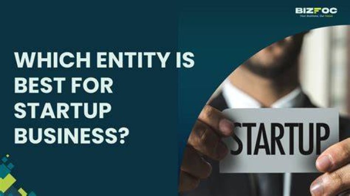 What is the best business entity for a startup?