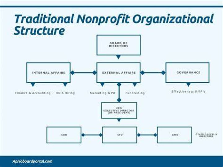 What is the best business structure for a nonprofit?