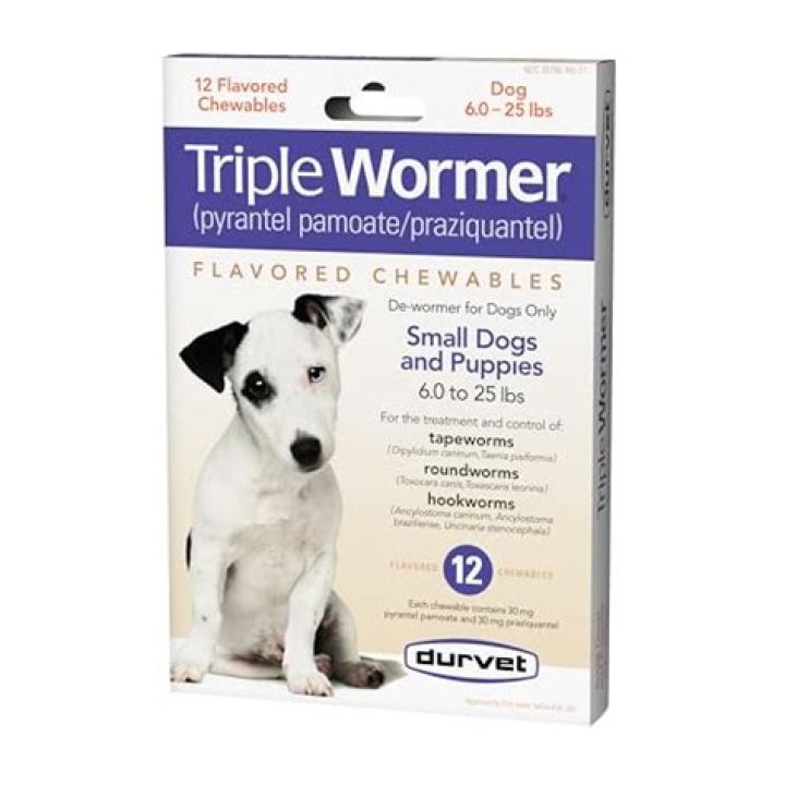 What is the best dog wormer?
