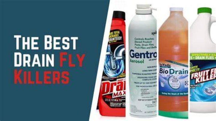 What is the best drain fly Killer?