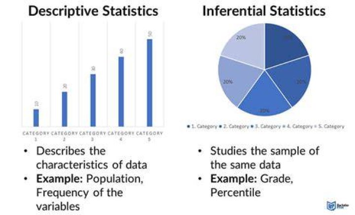 What is the best example of statistic?