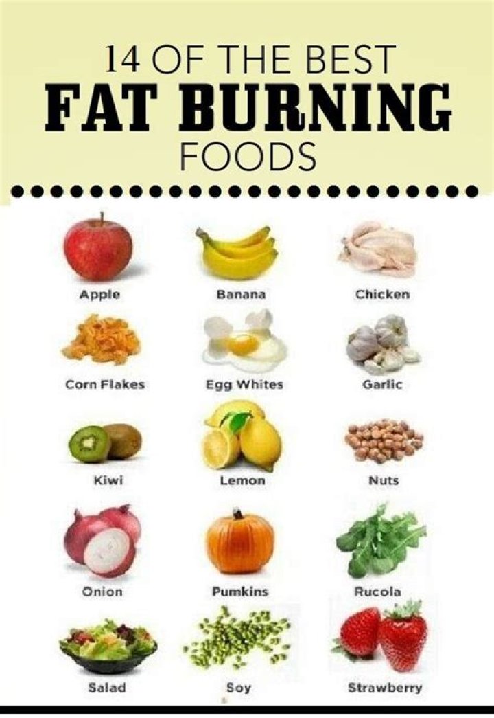 What is the best food to burn fat?