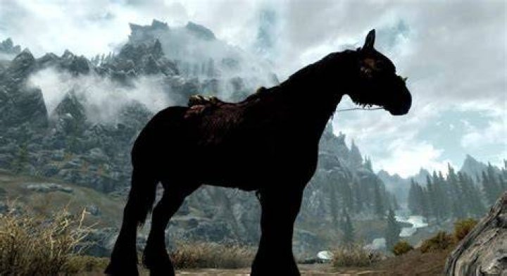 What is the best horse in Skyrim?