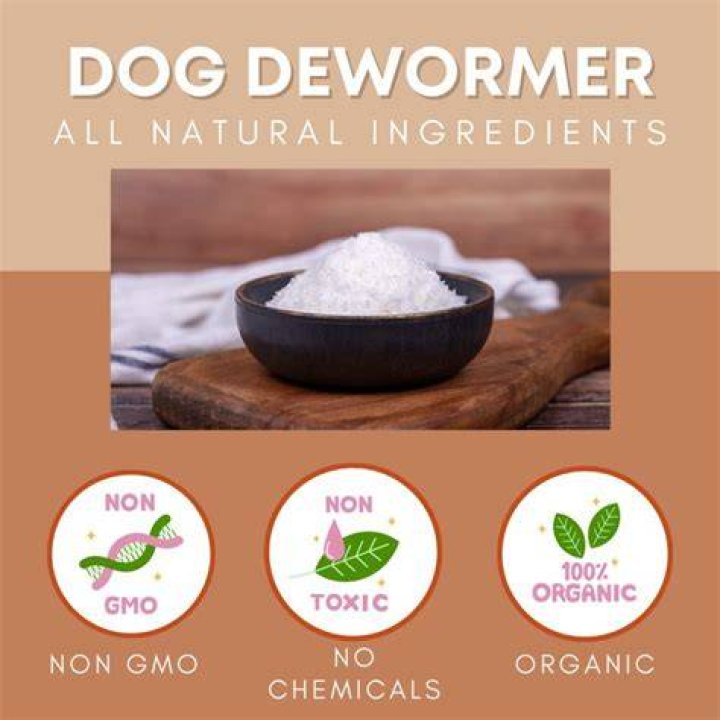 What is the best natural dewormer for dogs?