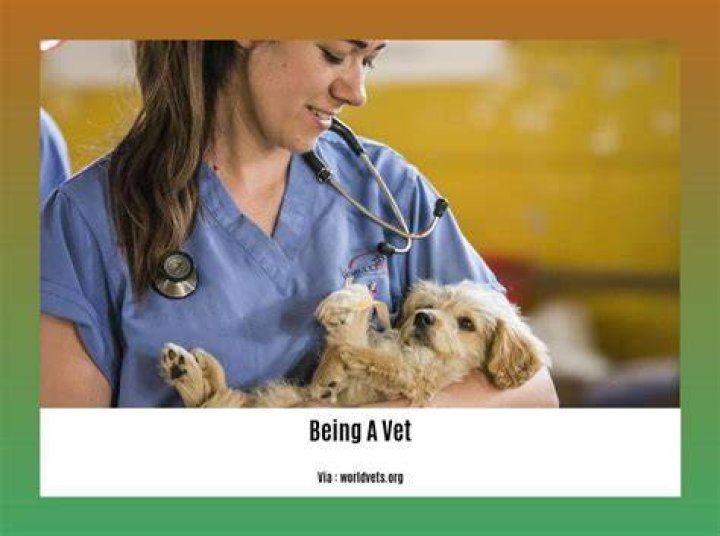 What is the best part about being a vet?