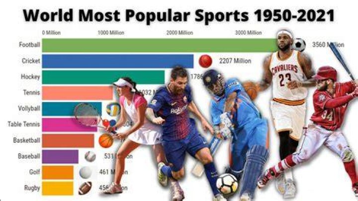 What is the best sport in the world 2021?
