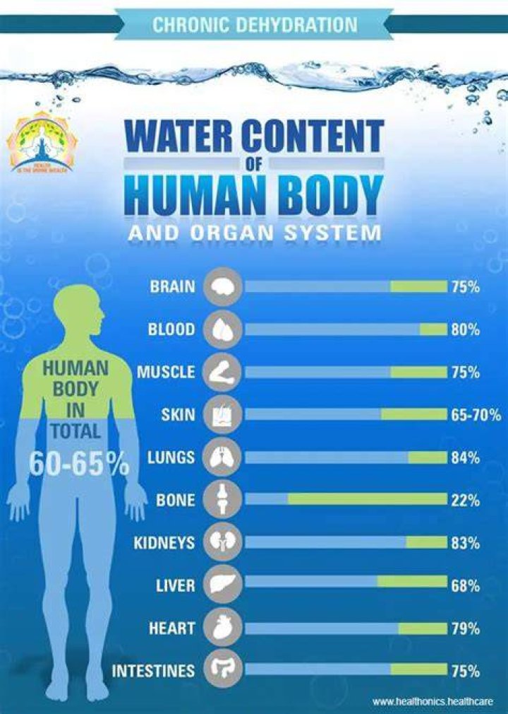 What is the best water for the human body?