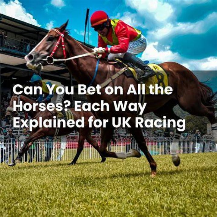 What is the best way to bet on horses?