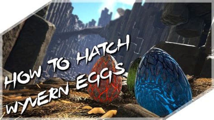 What is the best way to hatch a wyvern egg in Ark?