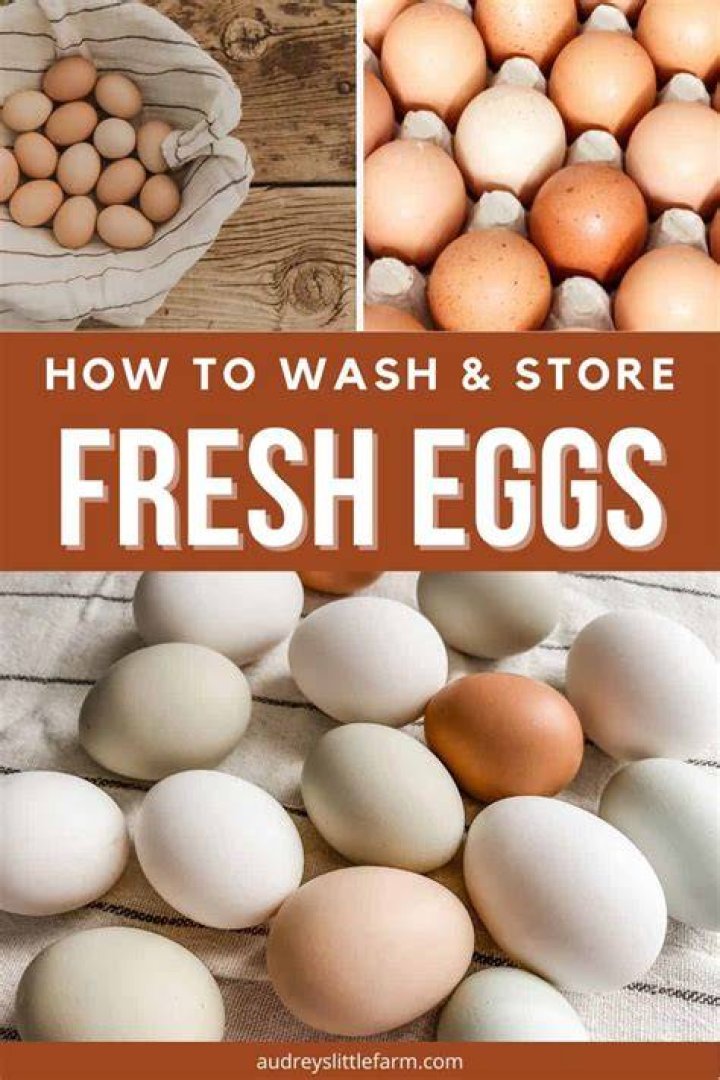 What is the best way to wash fresh eggs?
