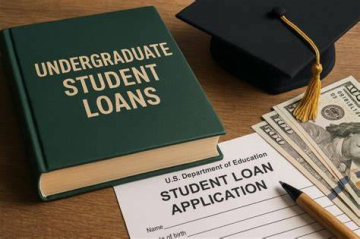 What is the cap on undergraduate student loans?