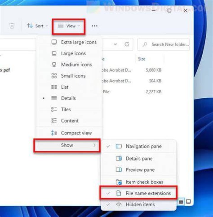 What is the complete name of file extension?