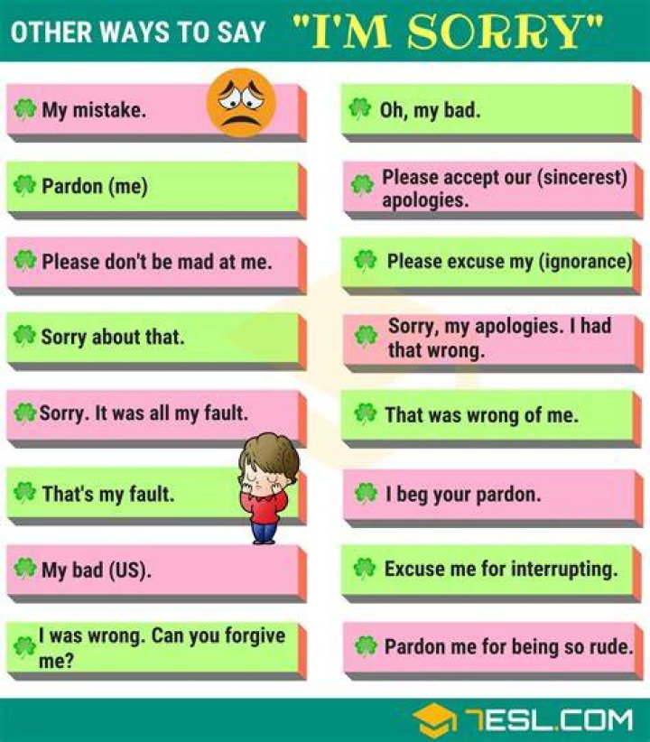 What is the correct way to say sorry?