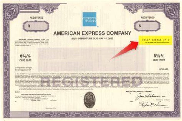 What is the CUSIP number on a stock certificate?
