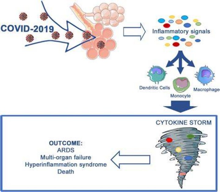 What is the cytokine storm in Covid?