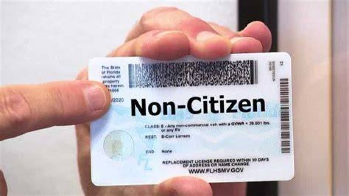 What is the definition of a non-US citizen?