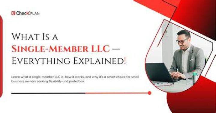 What is the definition of a single member LLC?