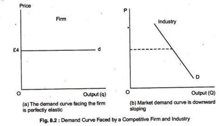 What is the demand curve for a perfectly competitive firm?