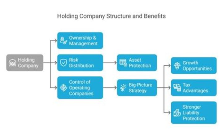 What is the difference between a holding company and a corporation?
