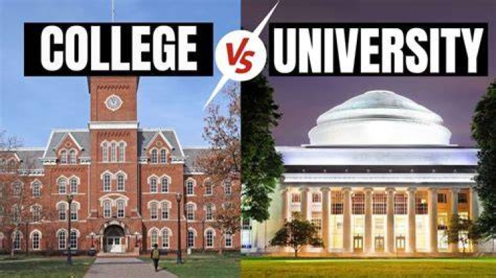 What is the difference between a polytechnic and a college?