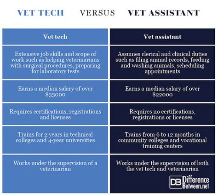 What is the difference between a veterinary technician and a veterinary technologist?