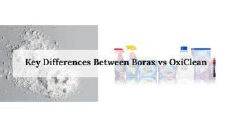 What is the difference between borax and OxiClean?