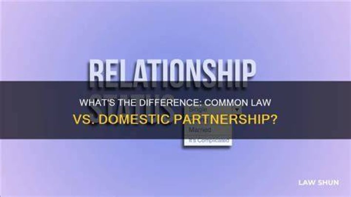 What is the difference between common law and domestic partner?