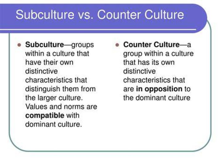 What is the difference between culture and sub culture?