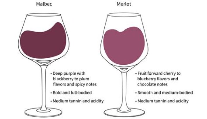 What is the difference between Malbec and red wine?