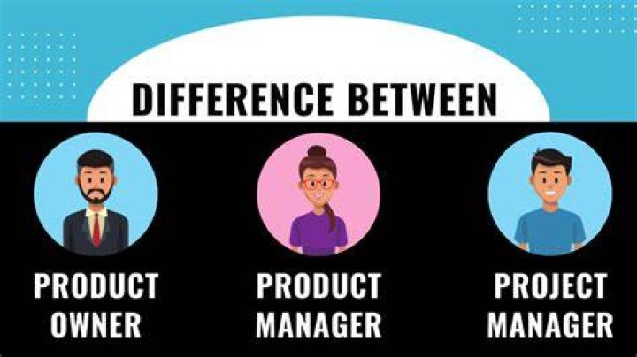 What is the difference between owner/manager and professional manager?