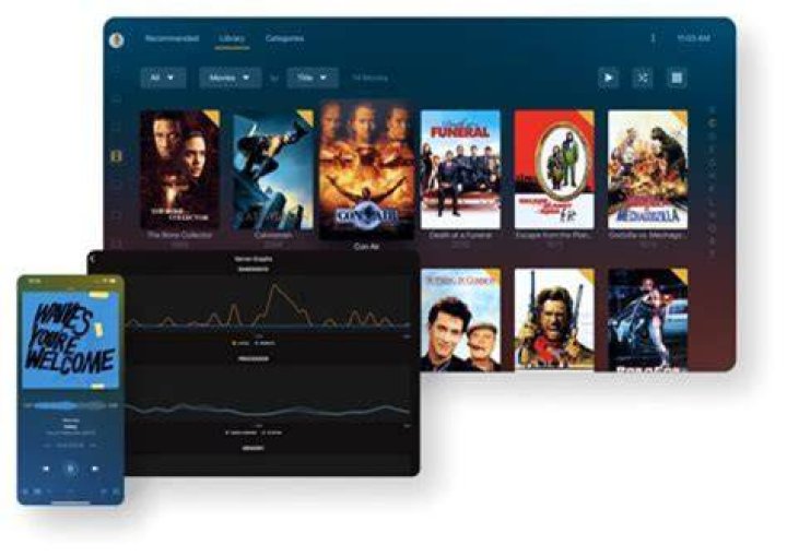 What is the difference between Plex and Netflix?