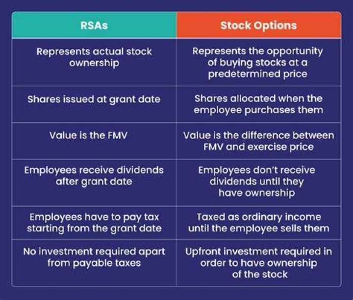 What is the difference between restricted stock and common stock?