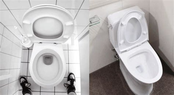 What is the difference between round and elongated toilets?
