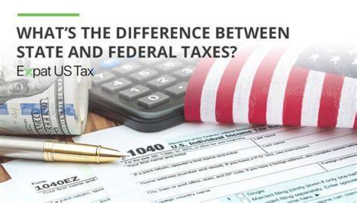 What is the difference between state and federal tax forms?