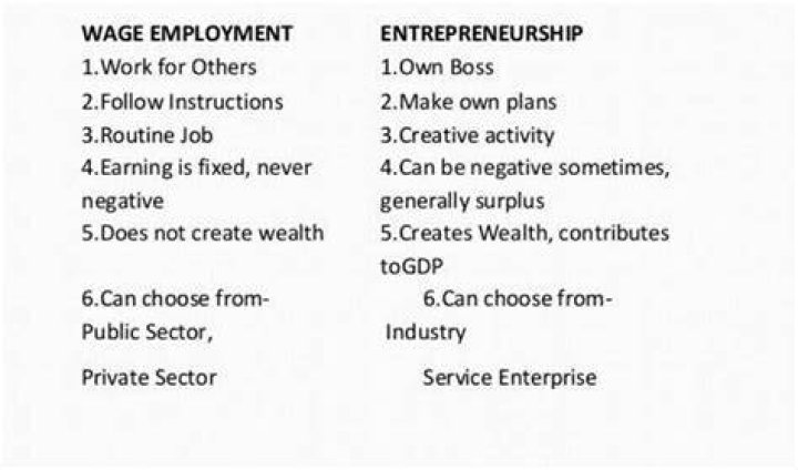 What is the difference between wage employment and entrepreneur ventures?