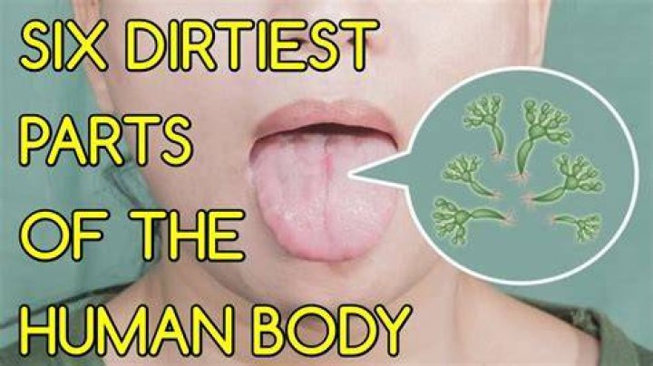 What is the dirtiest part of the body?