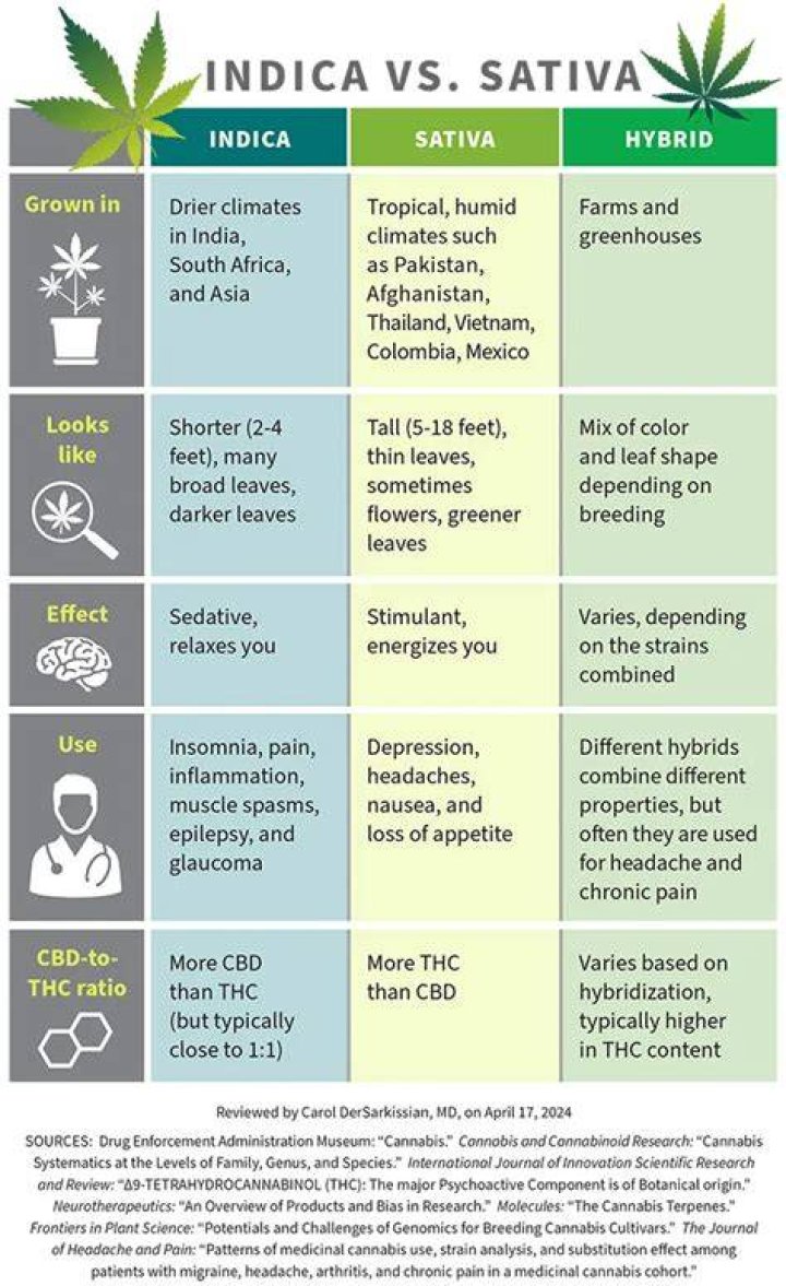 What is the easiest indica strain to grow?
