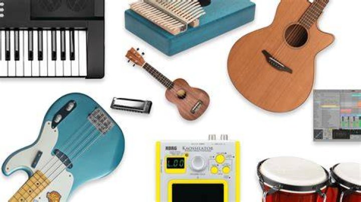 What is the easiest instrument to master?