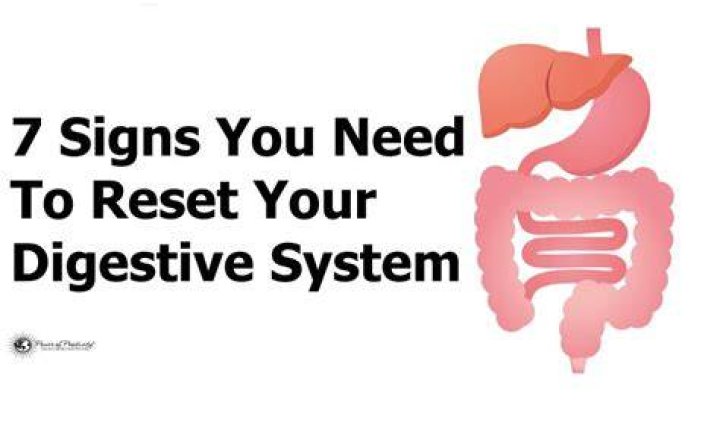 What is the fastest way to reset your digestive system?