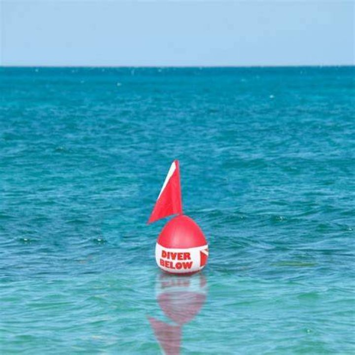 What is the floater flag?