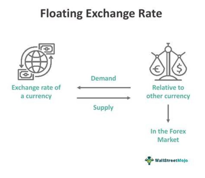 What is the floating exchange rate system?