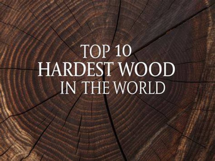 What is the hardest hardwood tree?