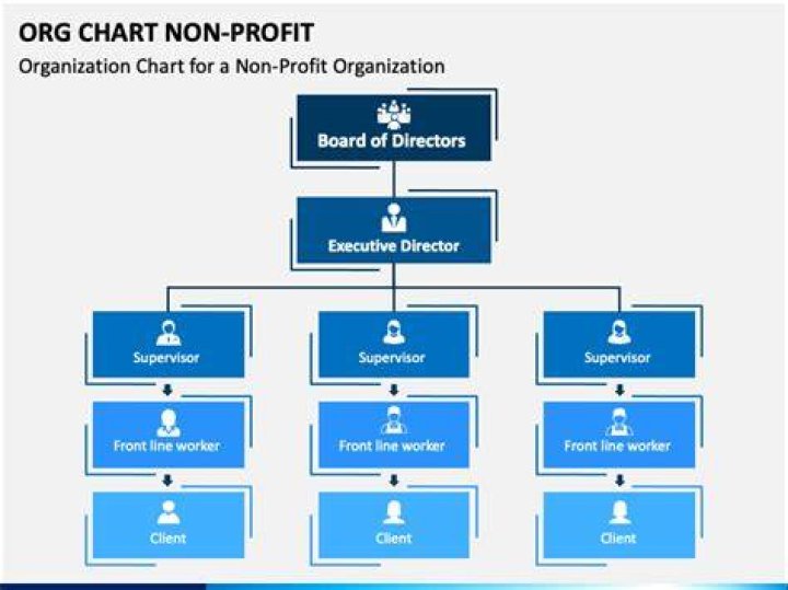 What is the highest position in a non profit organization?