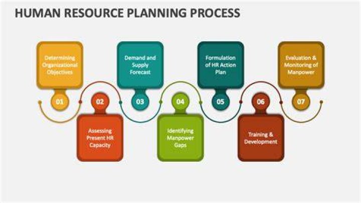 What is the human resource management process?