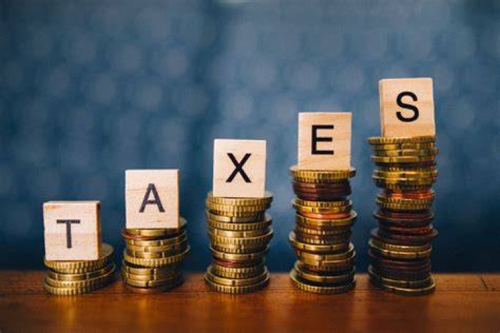 What is the impact of taxes on the economy?